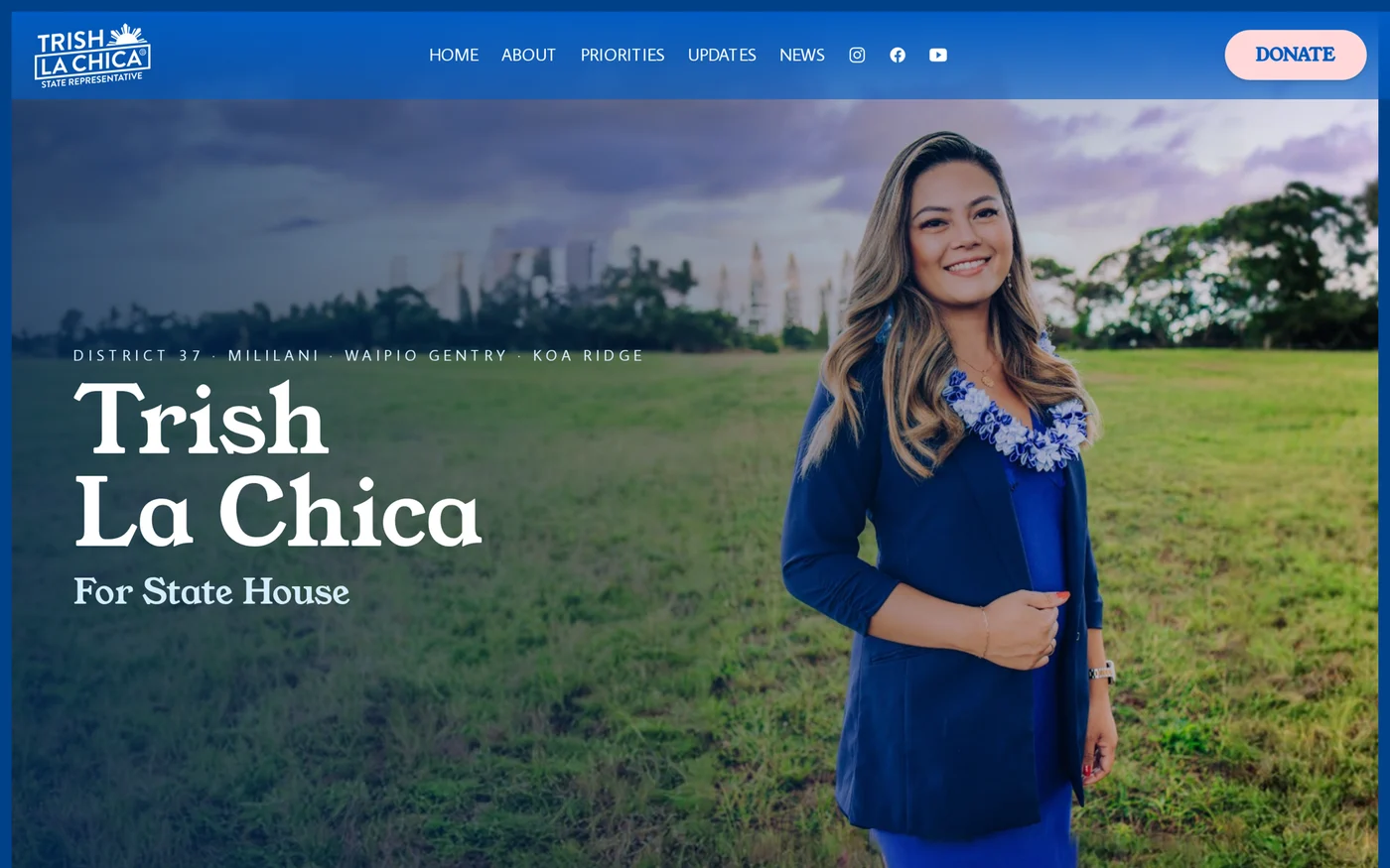 Campaign website with a landscape portrait and blue identity